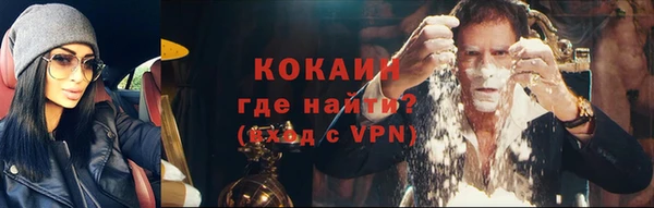 ПСИЛОЦИБИНОВЫЕ ГРИБЫ Осташков
