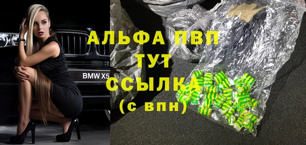 ПСИЛОЦИБИНОВЫЕ ГРИБЫ Осташков