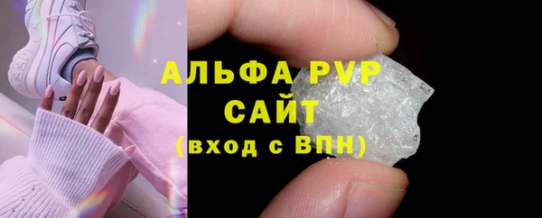 ПСИЛОЦИБИНОВЫЕ ГРИБЫ Осташков