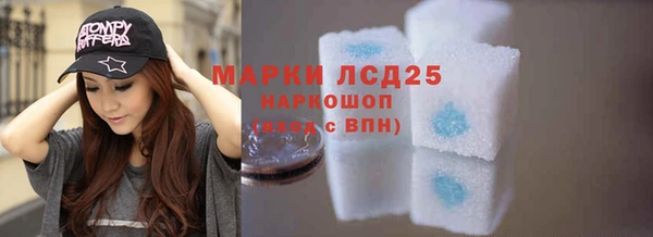 ПСИЛОЦИБИНОВЫЕ ГРИБЫ Осташков