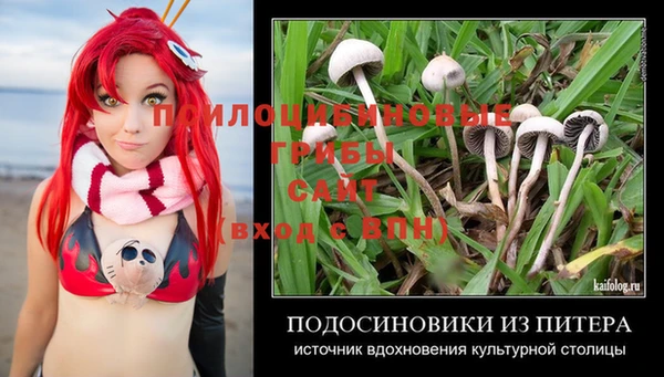 спайс Осинники