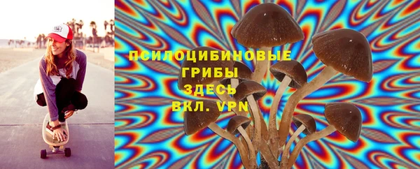 ПСИЛОЦИБИНОВЫЕ ГРИБЫ Осташков