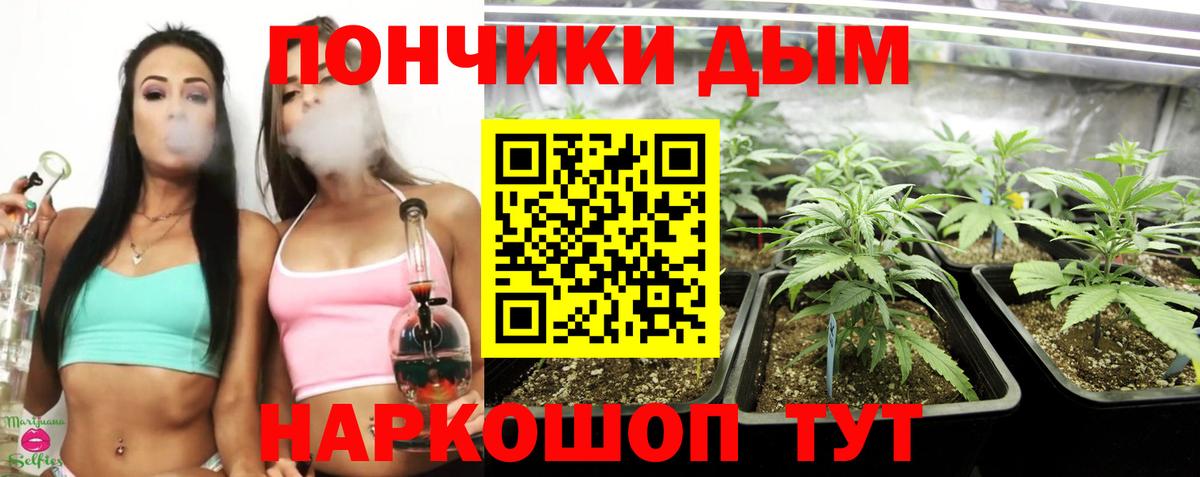 Марихуана конопля  Марихуана White Widow  Бошки марихуана конопля  Вольск 